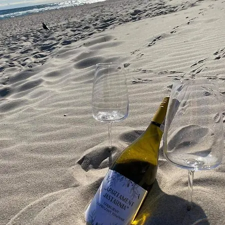 Apartament Jastarnia 公寓 *